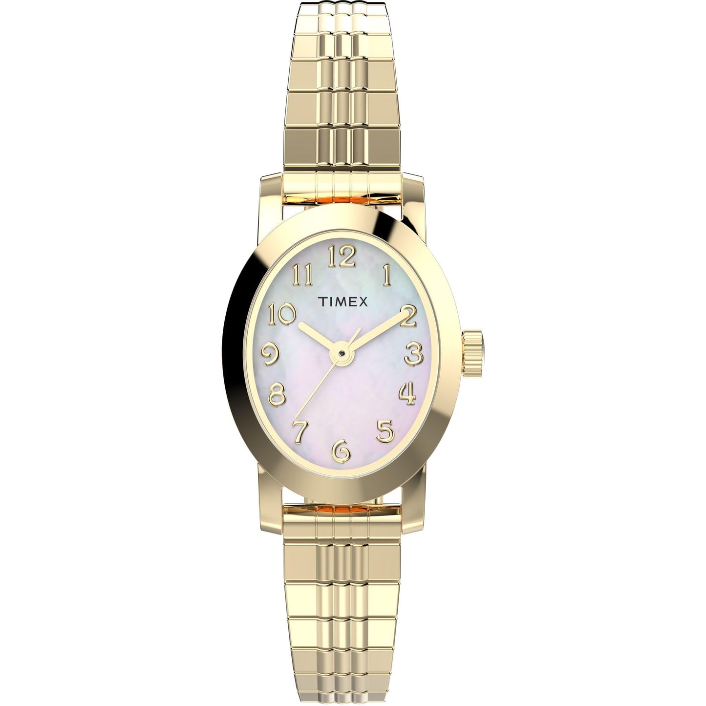 Women's Pearl Dial Watch with Gold Tone Case